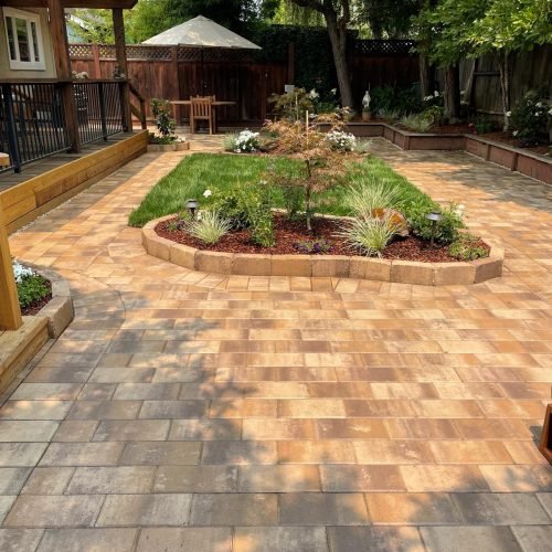 WhatsApp Image 2026-02-27 at 10.38.12 AM (1)