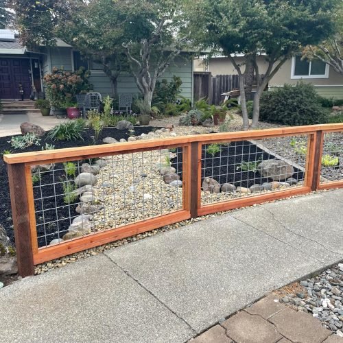 WhatsApp Image 2026-02-27 at 10.46.43 AM