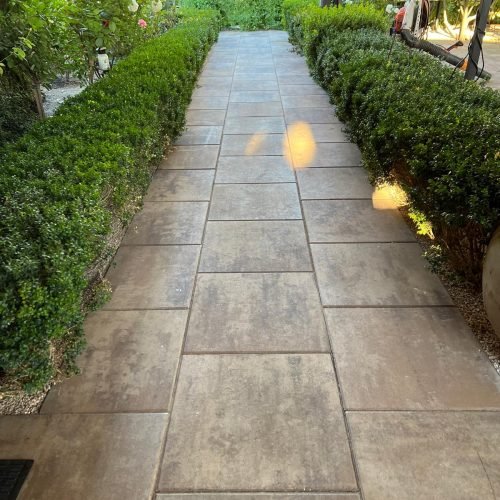 WhatsApp Image 2026-02-27 at 10.54.58 AM