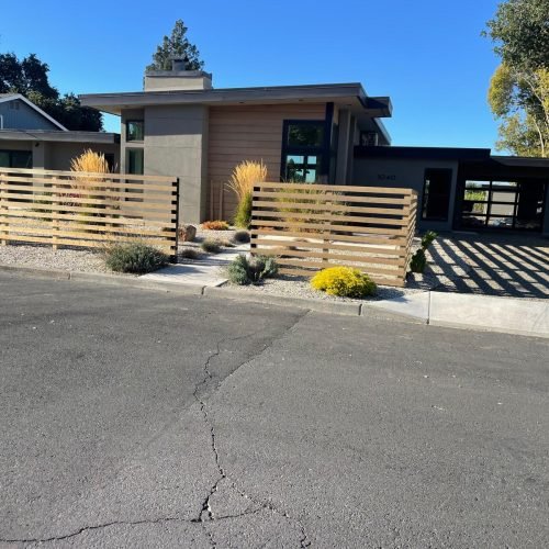 WhatsApp Image 2026-02-27 at 11.02.28 AM