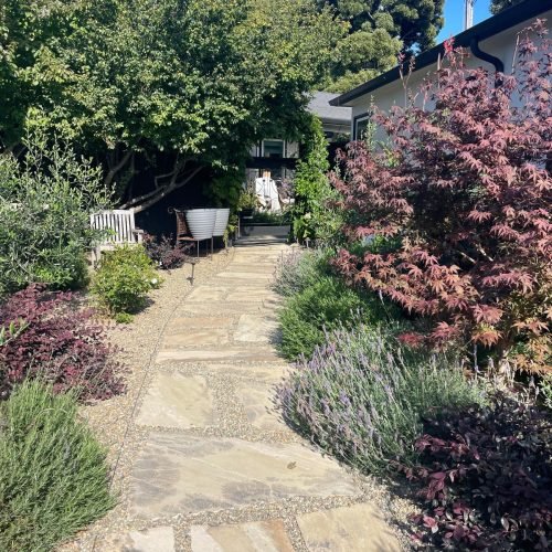 WhatsApp Image 2026-02-27 at 11.31.45 AM